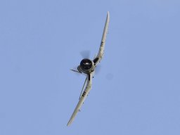 Fly-in 2024 - Zaterdag