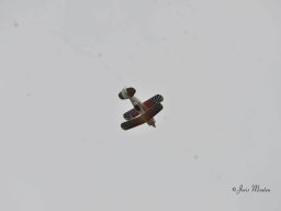 Fly-in 2024 - Zaterdag