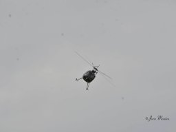 Fly-in 2024 - Zaterdag