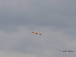 Fly-in 2024 - Zaterdag