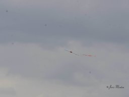 Fly-in 2024 - Zaterdag