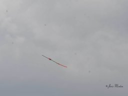 Fly-in 2024 - Zaterdag